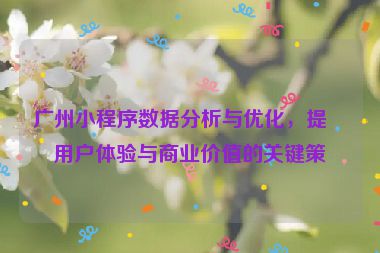 廣州小程序數(shù)據(jù)分析與優(yōu)化，提升用戶體驗(yàn)與商業(yè)價(jià)值的關(guān)鍵策略