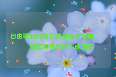 自由職業(yè)網(wǎng)站開發(fā)者接單指南，如何高效獲取并完成項目