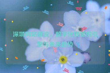 深圳網(wǎng)站建設(shè)，數(shù)字化轉(zhuǎn)型的引擎與未來(lái)趨勢(shì)