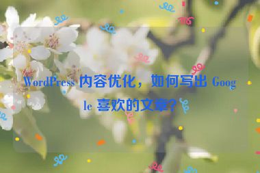 WordPress 內(nèi)容優(yōu)化，如何寫出 Google 喜歡的文章？