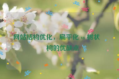 網(wǎng)站結(jié)構(gòu)優(yōu)化，扁平化 vs 樹狀結(jié)構(gòu)的優(yōu)缺點(diǎn)