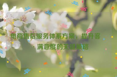 電商售后服務體系方案，提升客戶滿意度的關(guān)鍵策略
