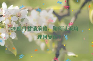 B2B郵件營銷策略，如何讓采購經(jīng)理回復(fù)你？