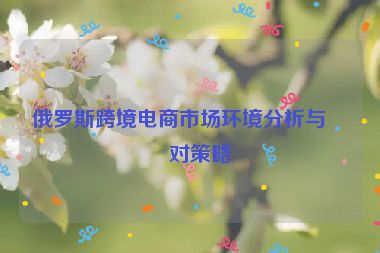 俄羅斯跨境電商市場(chǎng)環(huán)境分析與應(yīng)對(duì)策略