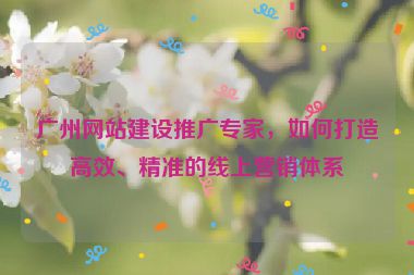 廣州網(wǎng)站建設(shè)推廣專(zhuān)家，如何打造高效、精準(zhǔn)的線(xiàn)上營(yíng)銷(xiāo)體系