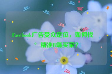 Facebook廣告受眾定位，如何找到精準(zhǔn)B端買家？
