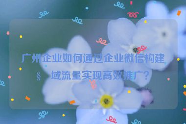 廣州企業(yè)如何通過(guò)企業(yè)微信構(gòu)建私域流量實(shí)現(xiàn)高效推廣？