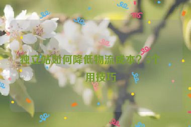 獨立站如何降低物流成本？5個實用技巧