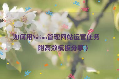 如何用Notion管理網(wǎng)站運(yùn)營(yíng)任務(wù)？附高效模板分享）