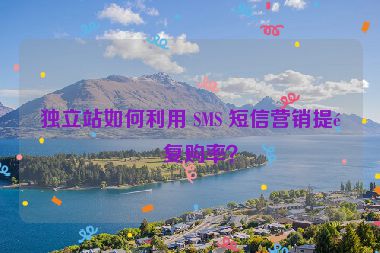 獨立站如何利用 SMS 短信營銷提高復(fù)購率？