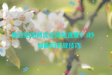 獨立站如何優(yōu)化網(wǎng)站速度？3秒內(nèi)加載的實戰(zhàn)技巧