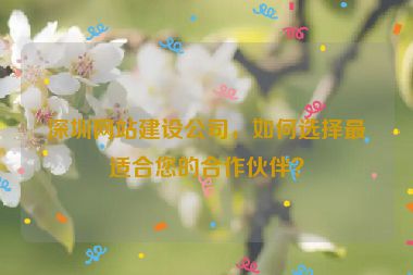 深圳網(wǎng)站建設(shè)公司，如何選擇最適合您的合作伙伴？