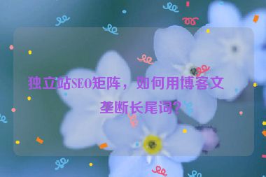 獨(dú)立站SEO矩陣，如何用博客文章壟斷長尾詞？