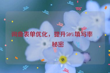 詢(xún)盤(pán)表單優(yōu)化，提升50%填寫(xiě)率的秘密