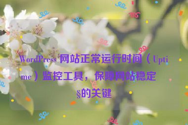 WordPress 網(wǎng)站正常運(yùn)行時(shí)間（Uptime）監(jiān)控工具，保障網(wǎng)站穩(wěn)定性的關(guān)鍵