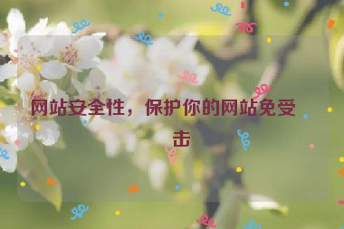 網(wǎng)站安全性，保護你的網(wǎng)站免受攻擊