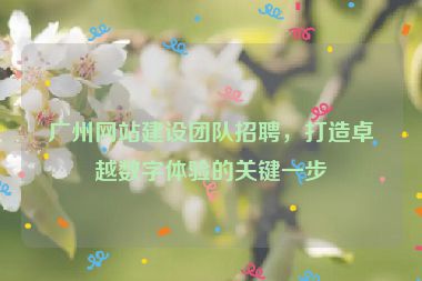 廣州網(wǎng)站建設(shè)團(tuán)隊(duì)招聘，打造卓越數(shù)字體驗(yàn)的關(guān)鍵一步