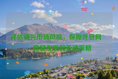 評估新興市場風(fēng)險，保障外貿(mào)網(wǎng)站穩(wěn)健發(fā)展的關(guān)鍵策略