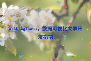 WebGL與Canvas，數(shù)據(jù)可視化大屏開發(fā)指南