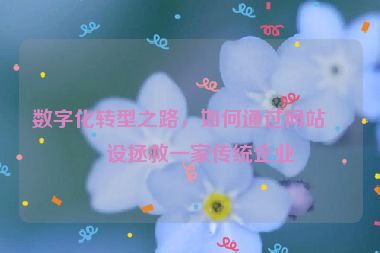 數(shù)字化轉型之路，如何通過網(wǎng)站建設拯救一家傳統(tǒng)企業(yè)
