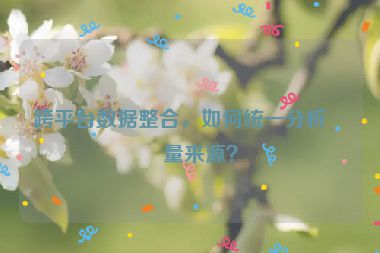 跨平臺數(shù)據(jù)整合，如何統(tǒng)一分析流量來源？