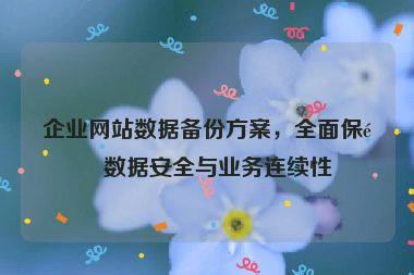 企業(yè)網(wǎng)站數(shù)據(jù)備份方案，全面保障數(shù)據(jù)安全與業(yè)務(wù)連續(xù)性