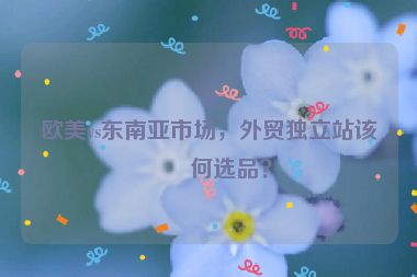 歐美vs東南亞市場，外貿(mào)獨(dú)立站該如何選品？