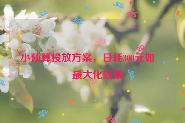 小預(yù)算投放方案，日耗300元如何最大化效果