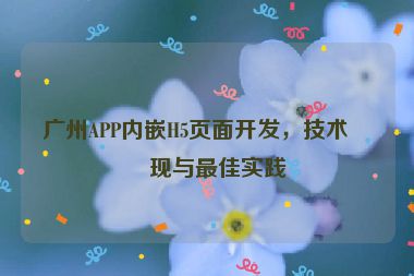 廣州APP內(nèi)嵌H5頁面開發(fā)，技術(shù)實(shí)現(xiàn)與最佳實(shí)踐