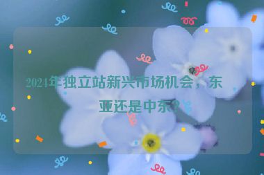 2024年獨立站新興市場機會，東南亞還是中東？
