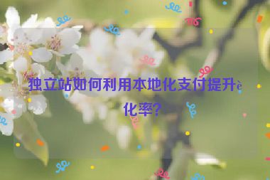 獨立站如何利用本地化支付提升轉化率？