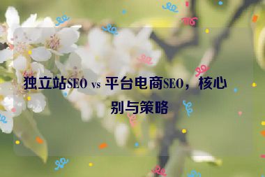 獨(dú)立站SEO vs 平臺(tái)電商SEO，核心區(qū)別與策略