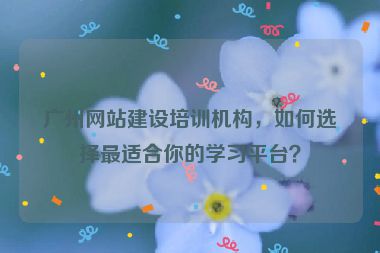 廣州網(wǎng)站建設(shè)培訓(xùn)機(jī)構(gòu)，如何選擇最適合你的學(xué)習(xí)平臺(tái)？