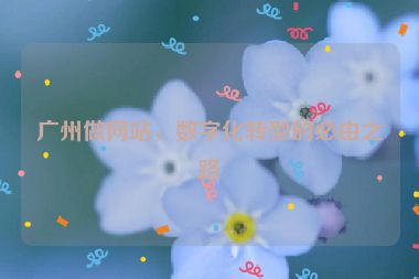 廣州做網(wǎng)站，數(shù)字化轉(zhuǎn)型的必由之路