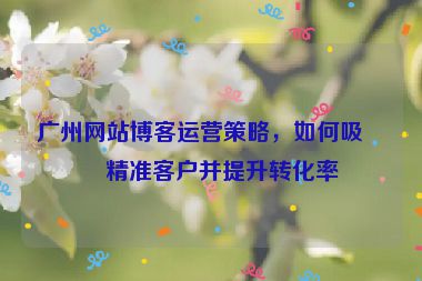 廣州網(wǎng)站博客運營策略，如何吸引精準客戶并提升轉化率