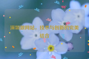 深圳做網(wǎng)站，技術(shù)與創(chuàng)新的完美結(jié)合