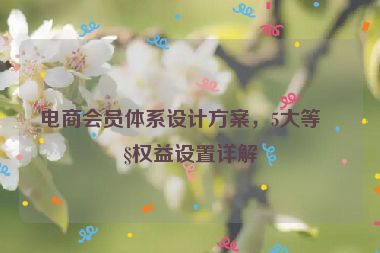 電商會員體系設計方案，5大等級權益設置詳解