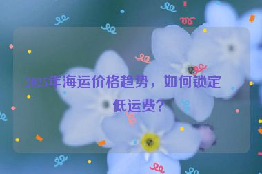 2025年海運(yùn)價(jià)格趨勢(shì)，如何鎖定最低運(yùn)費(fèi)？