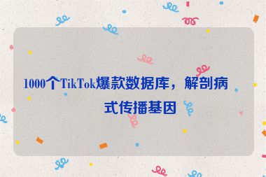 1000個(gè)TikTok爆款數(shù)據(jù)庫(kù)，解剖病毒式傳播基因