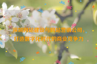 深圳網(wǎng)站建設與網(wǎng)站營銷公司，打造數(shù)字化時代的商業(yè)競爭力