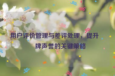用戶評(píng)價(jià)管理與差評(píng)處理，提升品牌聲譽(yù)的關(guān)鍵策略