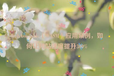 WebAssembly（WASM）應(yīng)用案例，如何讓網(wǎng)站速度提升300%