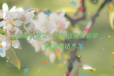 從詢盤到成交，外貿(mào)業(yè)務(wù)員必學(xué)的7階逼單話術(shù)
