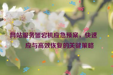 網(wǎng)站服務(wù)器宕機(jī)應(yīng)急預(yù)案，快速響應(yīng)與高效恢復(fù)的關(guān)鍵策略