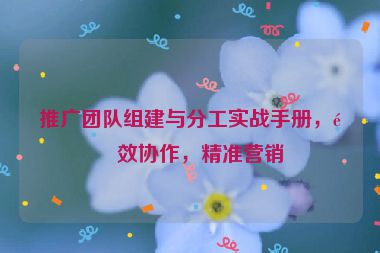 推廣團(tuán)隊(duì)組建與分工實(shí)戰(zhàn)手冊(cè)，高效協(xié)作，精準(zhǔn)營(yíng)銷