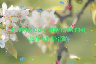 廣州網(wǎng)絡(luò)公司，數(shù)字化轉(zhuǎn)型的引領(lǐng)者與創(chuàng)新引擎