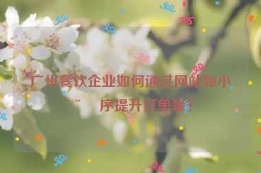 廣州餐飲企業(yè)如何通過網站和小程序提升訂單量？