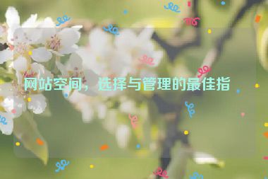 網(wǎng)站空間，選擇與管理的最佳指南