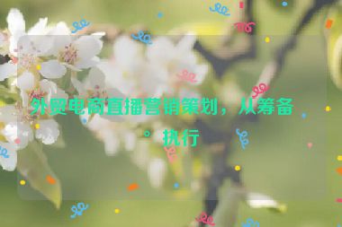 外貿(mào)電商直播營銷策劃，從籌備到執(zhí)行
