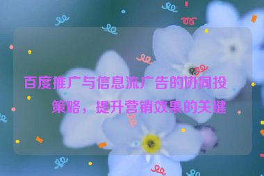 百度推廣與信息流廣告的協(xié)同投放策略，提升營銷效果的關鍵